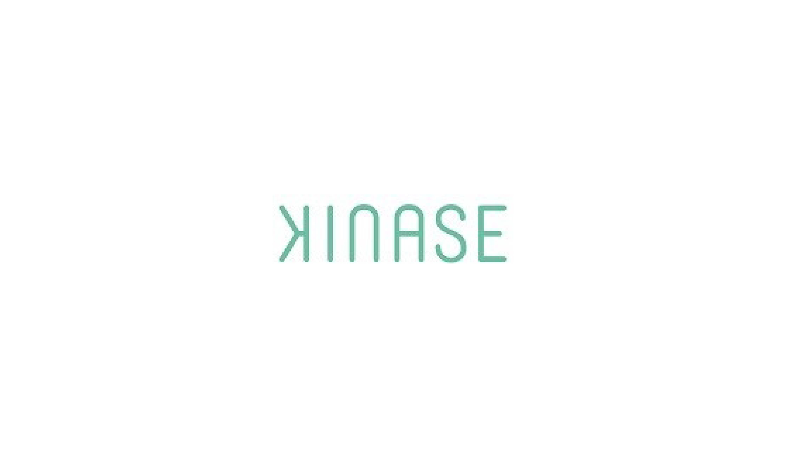 Kinase logo